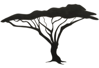 Origin'Arbre